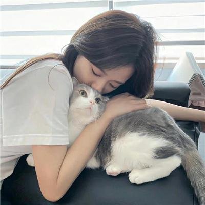 笨金鱼